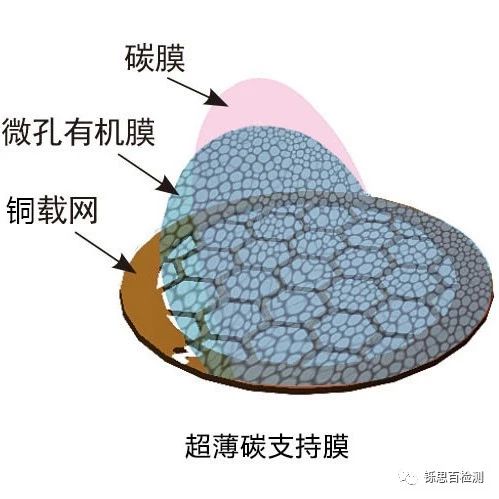 樹脂包埋（生物制樣）