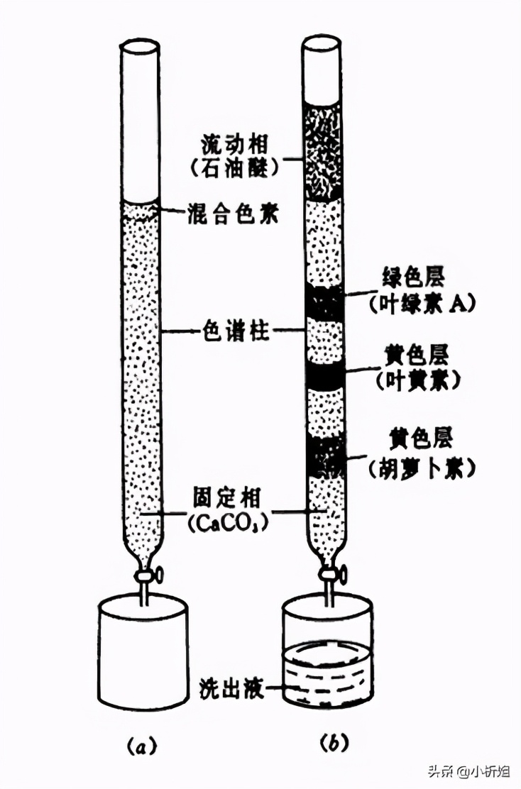 「經(jīng)典」色譜分析人必備的基本功