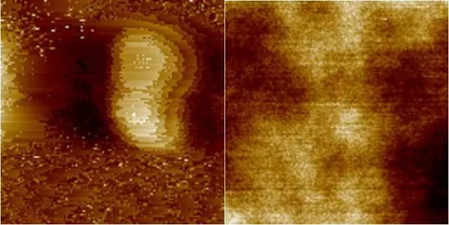 「干貨」原子力顯微鏡（AFM）的使用和成像技巧