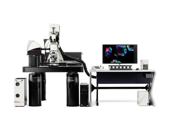 激光共聚焦显微镜