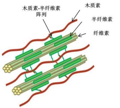 纖維素，半纖維素，木質(zhì)素含量