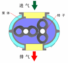 各種泵的工作原理動圖，拿走不謝