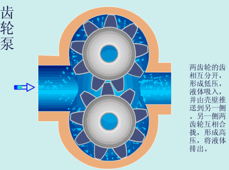 各種泵的工作原理動圖，拿走不謝