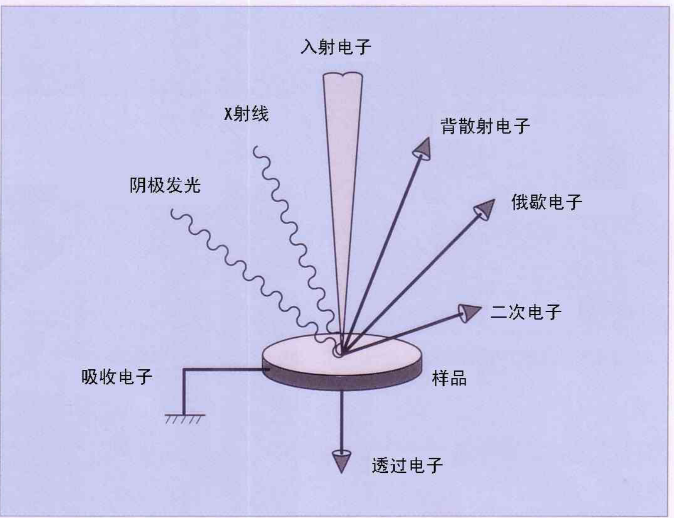 微信圖片_20210903113904.png