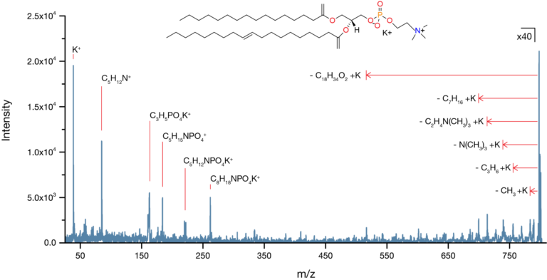 PC34-1-MS-MS-v2-768x393.png