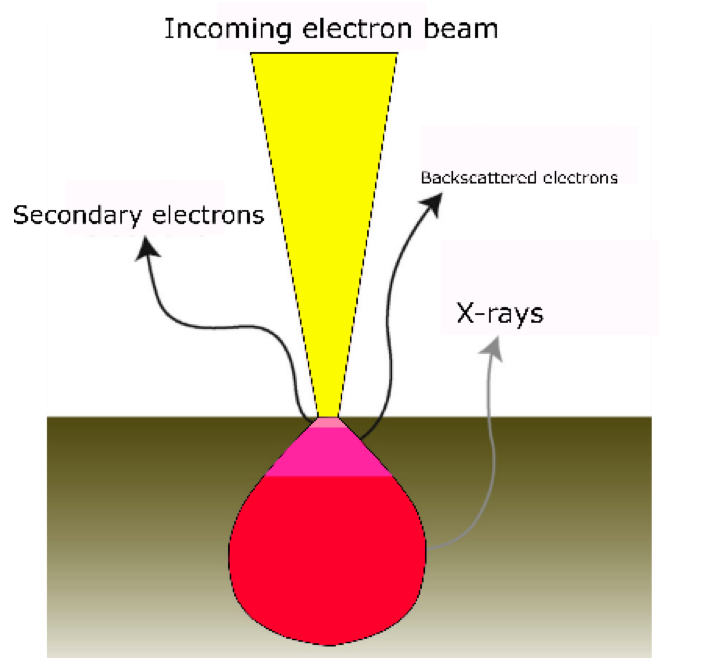 掃描電子顯微鏡（SEM）與 能譜分析（EDS）