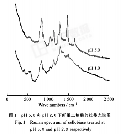 纖維二糖酶在不同pH下的拉曼光譜分析