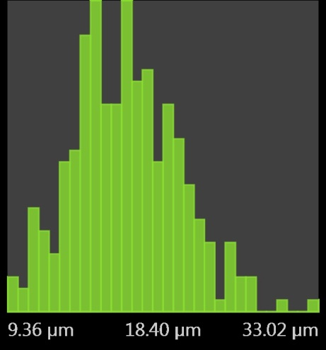 棉花在掃描電鏡下是什么形態(tài)
