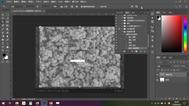 10秒搞定掃描和透射電鏡圖像標(biāo)尺：Photoshop快速處理電鏡圖像