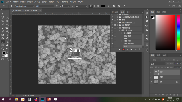10秒搞定掃描和透射電鏡圖像標(biāo)尺：Photoshop快速處理電鏡圖像