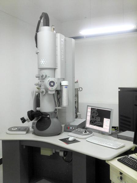 透射电子显微镜照片图片