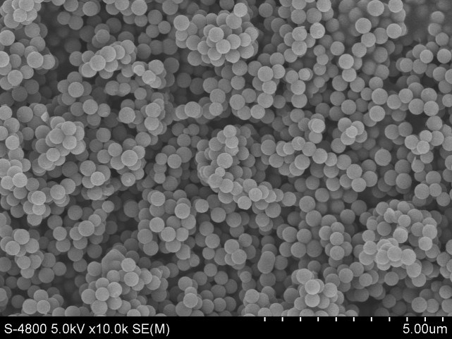 photoshop软件运用处理扫描和透射电镜图像标尺