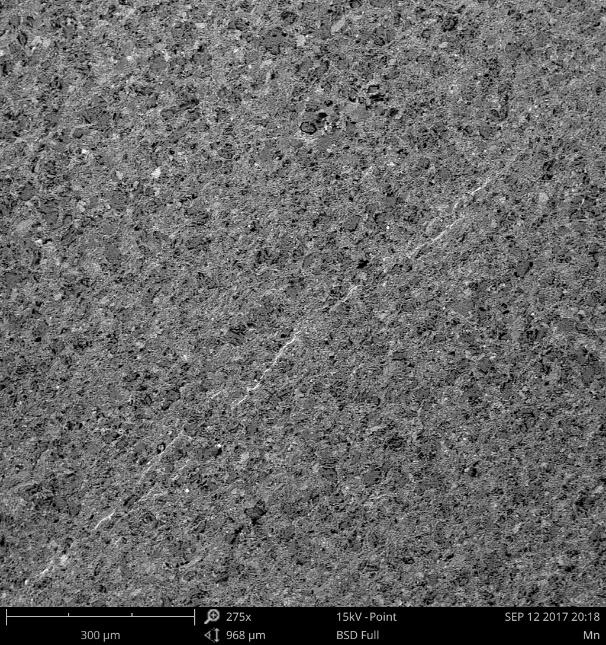 sem扫描电镜在地质研究方面应用