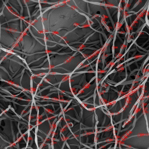 纤维测量图片纤维直径分布柱状图从扫描电镜下的微观形态可以看出