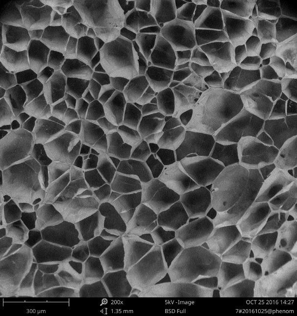 sem扫描电镜在地质研究方面应用