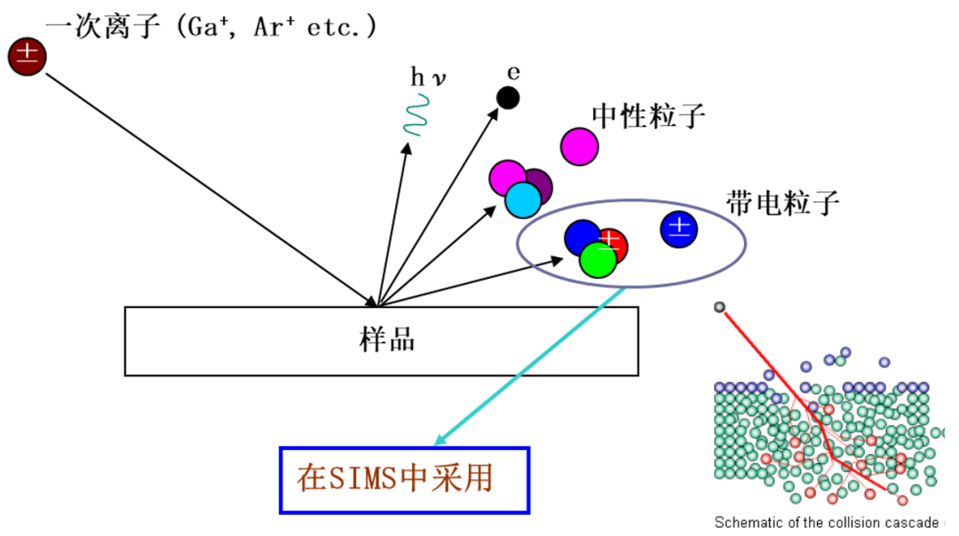 sims测试是什么