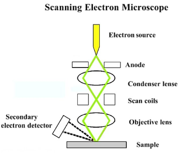 扫描电子显微镜（SEM）与 能谱分析（EDS）