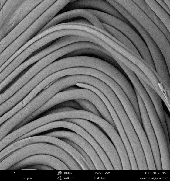 棉花在扫描电镜下是什么形态