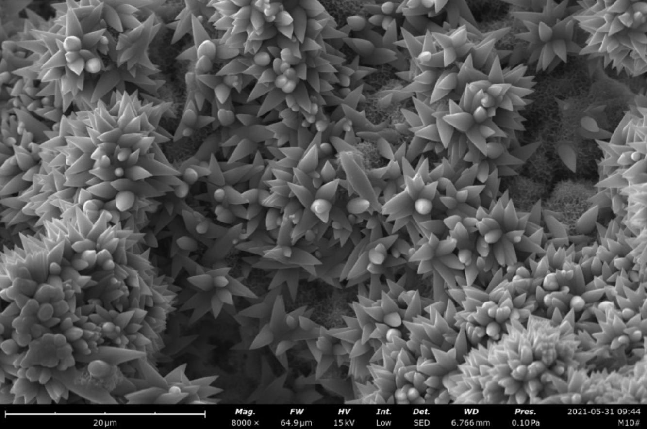 扫描电镜在建筑行业的应用-sem测试-电镜测试