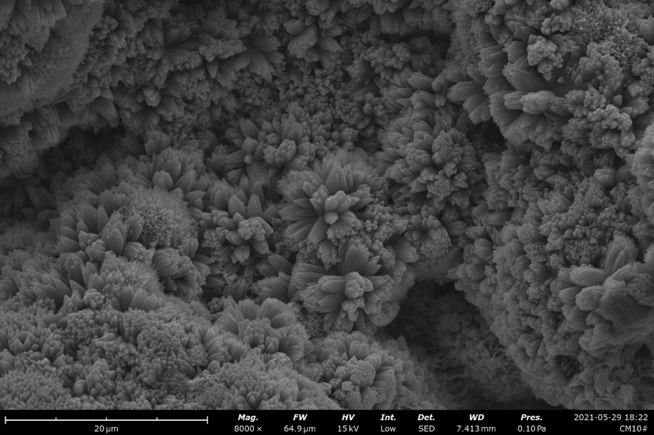 扫描电镜在建筑行业的应用-sem测试-电镜测试