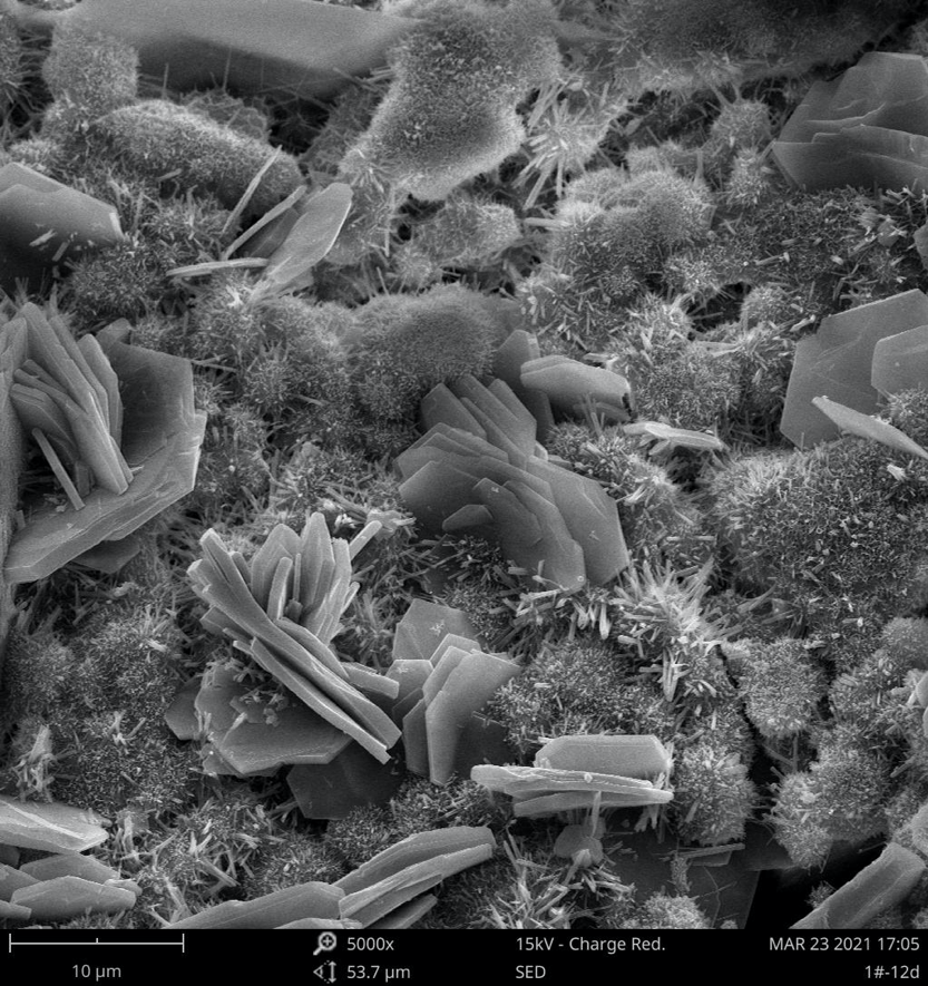 扫描电镜在建筑行业的应用