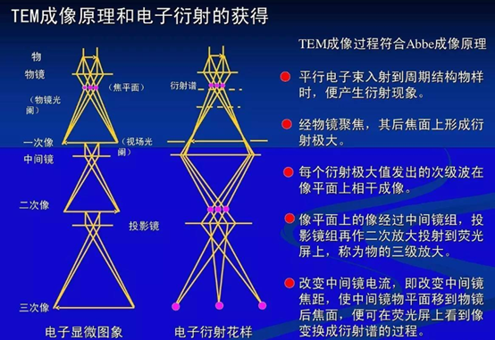 tem测试主要测什么看完这篇你就知道了